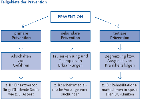 Abbildung 18 Die folgende Abbildung stellt Teilgebiete der Prävention zur Verhinderung von Arbeitsunfällen, Berufskrankheiten und arbeitsbedingten Gesundheitsgefahren dar. Die Grafik wird als Organigramm dargestellt. Primäre Prävention gilt dem Abschalten von Gefahren, zum Beispiel durch Einsatzverbot von gefährdeten Stoffen, wie zum Beispiel Asbest. Sekundäre Prävention gilt der Früherkennung und Therapie von Erkrankungen, wie zum Beispiel arbeitsmedizinische Vorsorgeuntersuchungen und die tertiäre Prävention, wie zum Beispiel Begrenzung beziehungsweise Ausgleich von Krankheitsfolgen, zum Beispiel Rehabilitationsmaßnahmen in speziellen Berufsgenossenschaften-Kliniken. Die Informationen aus dieser Abbildung werden gegebenenfalls auch im Text erläutert. Hinweis, falls Sie die Abbildung als Einzelfundstelle aus der Trefferliste gewählt haben: Sie stammt aus dem Themenheft 38 Arbeitsunfälle und Berufskrankheiten der Gesundheitsberichterstattung des Bundes, den Sie über den Link Verwandte, mit separater Stichwortsuche Klammer auf Alt-Taste + Taste S) oder mit Hilfe des Links unterhalb der Abbildung erreichen können. Wenn der Fokus auf der Grafik steht, kann zudem mit der Eingabe-Taste eine Tabelle mit den Werten, die der Grafik zugrunde liegen, geöffnet werden. Hierzu wird ein neues Browser-Fenster geöffnet. Ende der Abbildungsbeschreibung.