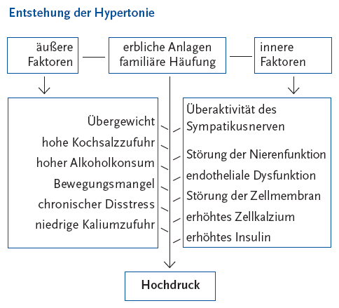 Abbildung 1 Die folgende Abbildung stellt die Entstehung der Hypertonie in einem Schaubild dar. In drei nebeneinander liegenden Rechtecken werden die Ursachen äußere Faktoren, erbliche Anlagen familiäre Häufung und innere Faktoren dargestellte. Unterhalb des Rechteckes äußere Faktoren befindet sich ein weiteres Rechteck, in dem folgende Faktoren gezeigt werden: Übergewicht, hohe Kochsalzzufuhr, hoher Alkoholkonsum, Bewegungsmangel, chronischer Disstress, niedrige Kaliumzufuhr. Ein Pfeil ist vom oberen auf das untere Rechteck gerichtet. Unterhalb des Rechteckes innere Faktoren befindet sich ein weiteres Rechteck, in dem folgende Faktoren genannt werden: Überaktivität des Sympatikusnerven, Störung der Nierenfunktion, endotheliale Dysfunktion, Störung der Zellmembran, erhöhtes Zellkalzium, erhöhtes Insulin. Auch hier ist ein Pfeil auf das untere Rechteck gerichtet. Von den Rechtecken der Faktoren und dem Rechteck, in dem die erblichen Anlagen familiäre Häufung dargestellt wird, verlaufen Pfeile zu einem darunter liegenden Rechteck mit dem Begriff Hochdruck. Die Informationen aus dieser Abbildung werden gegebenenfalls auch im Text erläutert. Hinweis, falls Sie die Abbildung als Einzelfundstelle aus der Trefferliste gewählt haben: Sie stammt aus dem Themenheft 43 Hypertonie der Gesundheitsberichterstattung des Bundes, den Sie über den Link Verwandte, mit separater Stichwortsuche (Alt-Taste + Taste S) oder mit Hilfe des Links unterhalb der Abbildung erreichen können. Ende der Abbildungsbeschreibung.
